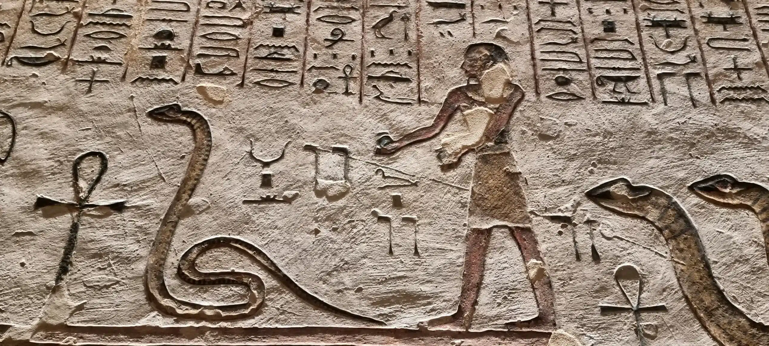 From Papyrus to Pixels